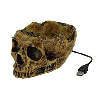 Calavera con 4 puertos USB